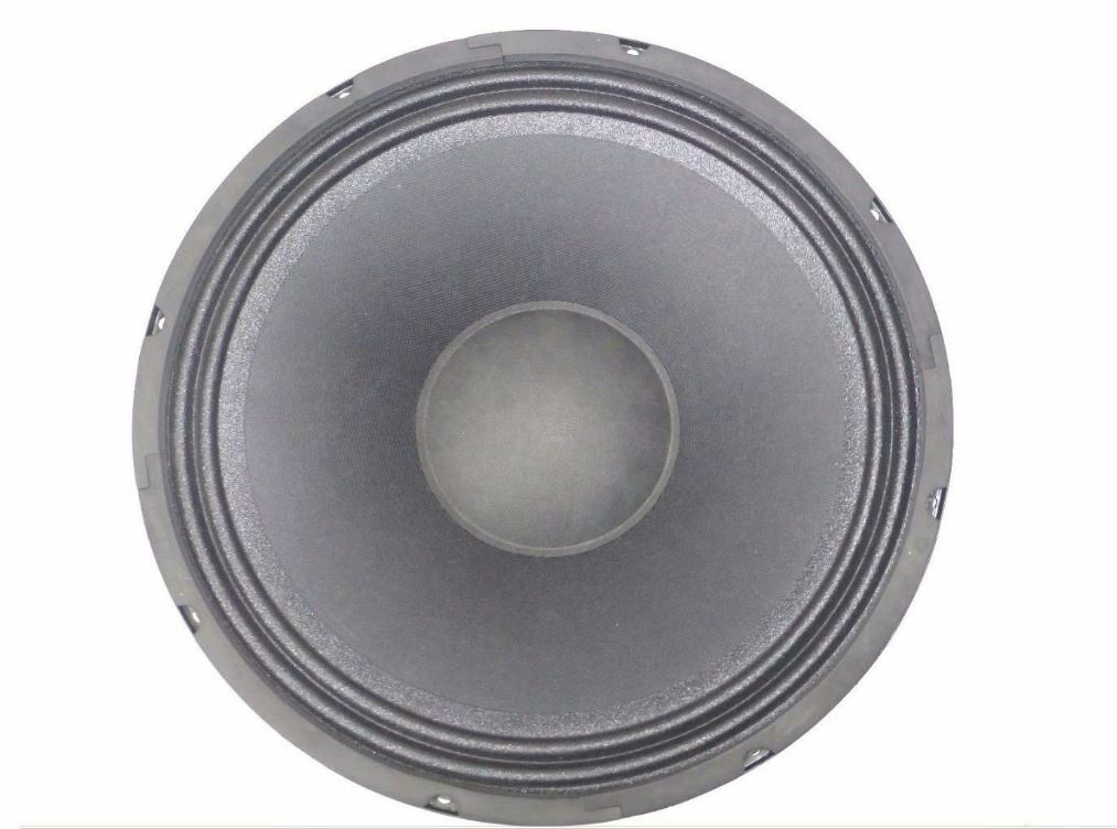LASE Replacement 12" Speaker for QSC KW122, K12